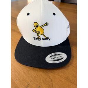 Snapback Hat Singularity Duck Logo, The Classics Yupoong Classic 2-Tone NWT